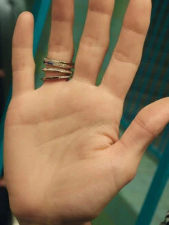 Maria Black Lost Highway Ring -Maria Black 1579 1d11c9ebfb 6 original