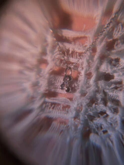 Maria Black Temple Necklace 7 Maria Black Temple Necklace -Maria Black 5240 96ba13b5ea 2 original